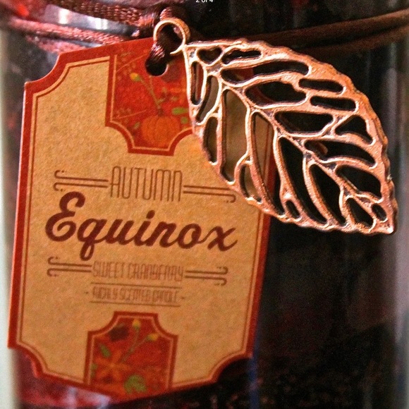 DW HOME AUTUMN SWEET CRANBERRY PILLAR CANDLE RICH - Picture 2 of 4